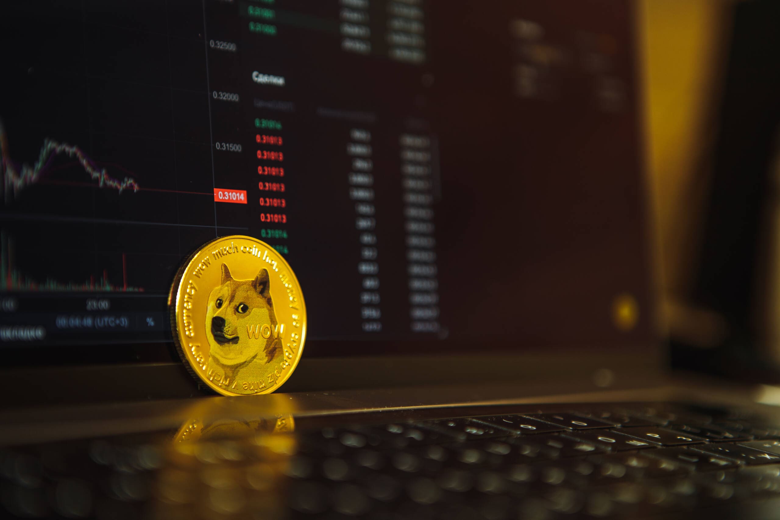 criptomonedas meme